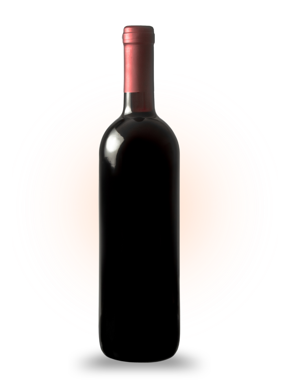 botella desgustacion 1